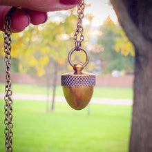 Load image into Gallery viewer, Acorn Necklace Pill Stash Locket Urn Jewelry Fall Autumn Locket